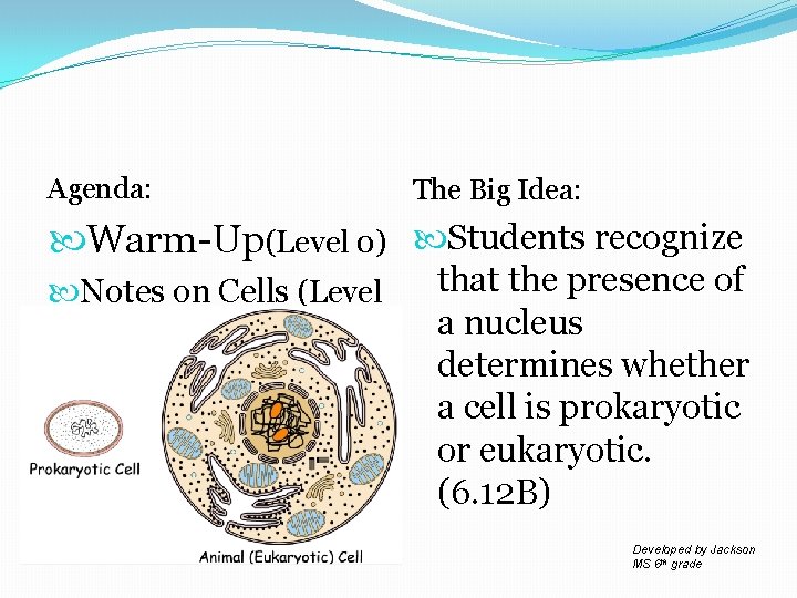 Agenda: The Big Idea: Warm-Up(Level 0) Students recognize Notes on Cells (Level 1) that