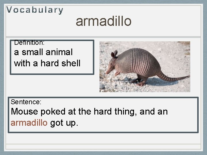 armadillo Definition: a small animal with a hard shell Sentence: Mouse poked at the