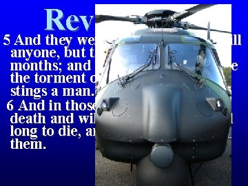Revelation 9 5 And they were not permitted to kill anyone, but to torment Revelation 9 5 And they were not permitted to kill anyone, but to torment