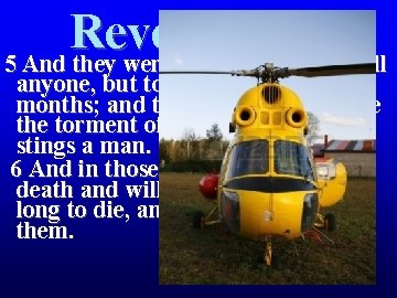Revelation 9 5 And they were not permitted to kill anyone, but to torment Revelation 9 5 And they were not permitted to kill anyone, but to torment