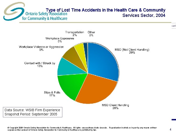 Type of Lost Time Accidents in the Health Care & Community Services Sector, 2004