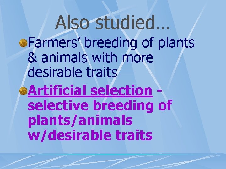 Also studied… Farmers’ breeding of plants & animals with more desirable traits Artificial selection