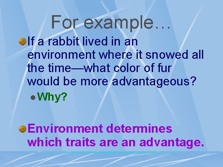 For example… If a rabbit lived in an environment where it snowed all the