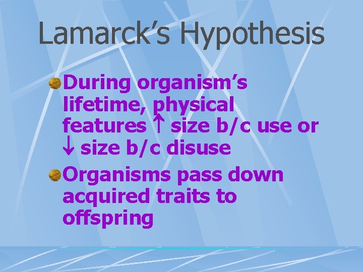Lamarck’s Hypothesis During organism’s lifetime, physical features size b/c use or size b/c disuse