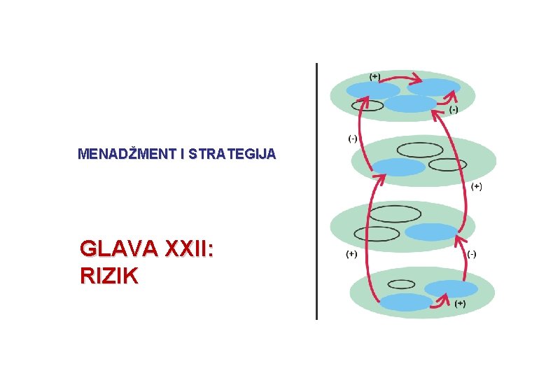 MENADŽMENT I STRATEGIJA GLAVA XXII: RIZIK 