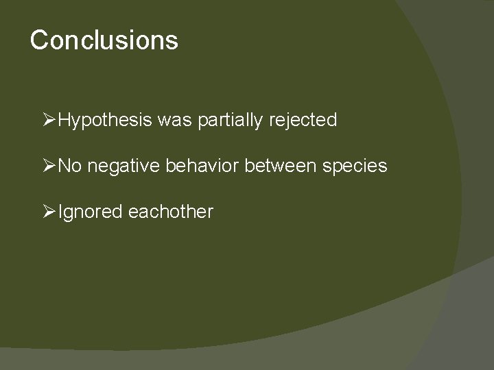 Conclusions ØHypothesis was partially rejected ØNo negative behavior between species ØIgnored eachother 