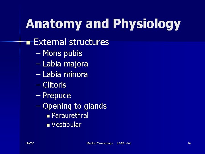 Anatomy and Physiology n External structures – Mons pubis – Labia majora – Labia