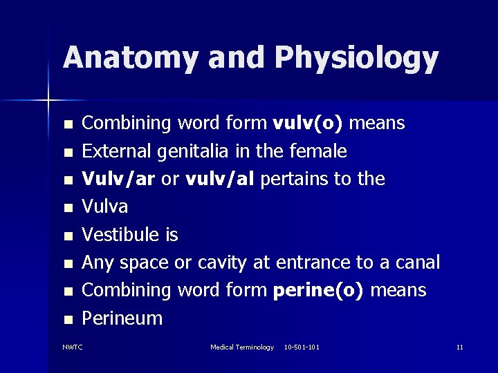 Anatomy and Physiology n n n n Combining word form vulv(o) means External genitalia