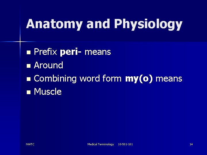 Anatomy and Physiology Prefix peri- means n Around n Combining word form my(o) means