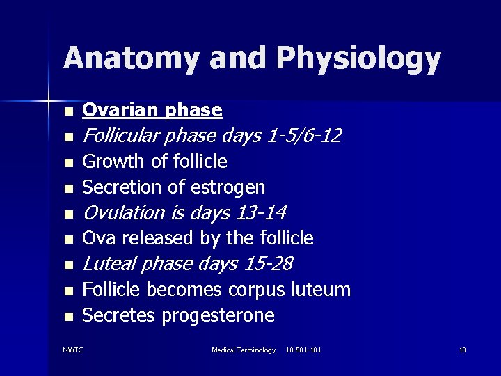 Anatomy and Physiology n Ovarian phase n Follicular phase days 1 -5/6 -12 n