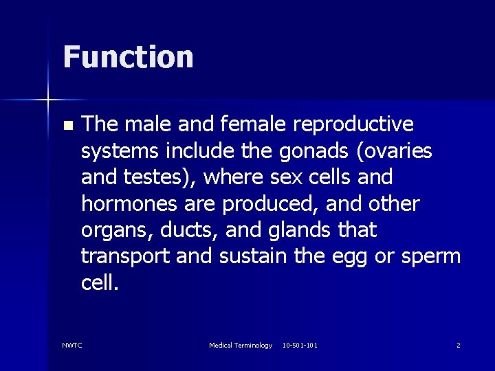 Function n The male and female reproductive systems include the gonads (ovaries and testes),