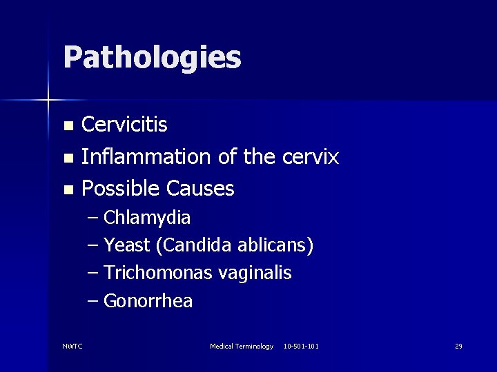 Pathologies Cervicitis n Inflammation of the cervix n Possible Causes n – Chlamydia –