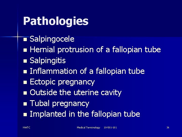 Pathologies Salpingocele n Hernial protrusion of a fallopian tube n Salpingitis n Inflammation of