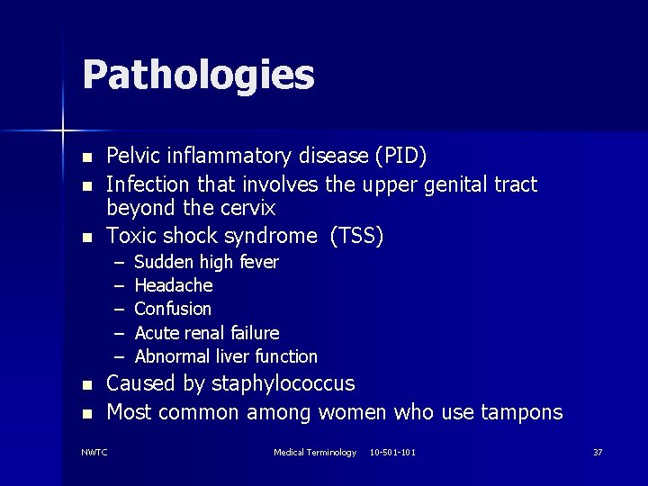 Pathologies n n n Pelvic inflammatory disease (PID) Infection that involves the upper genital
