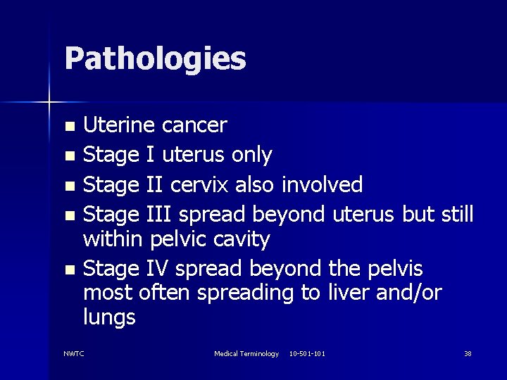 Pathologies Uterine cancer n Stage I uterus only n Stage II cervix also involved