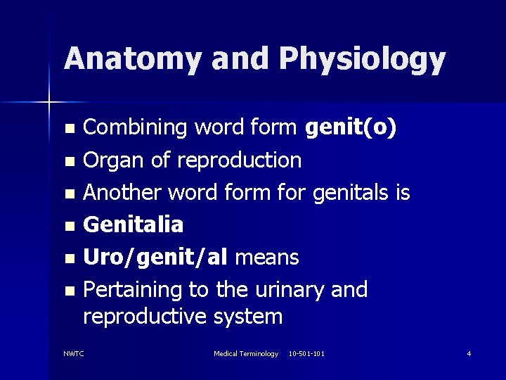 Anatomy and Physiology Combining word form genit(o) n Organ of reproduction n Another word