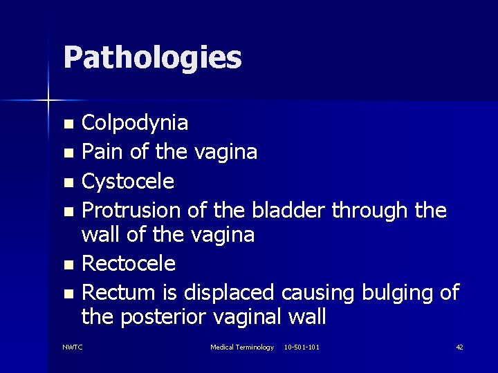 Pathologies Colpodynia n Pain of the vagina n Cystocele n Protrusion of the bladder