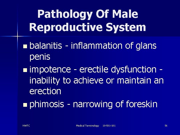 Pathology Of Male Reproductive System n balanitis - inflammation of glans penis n impotence