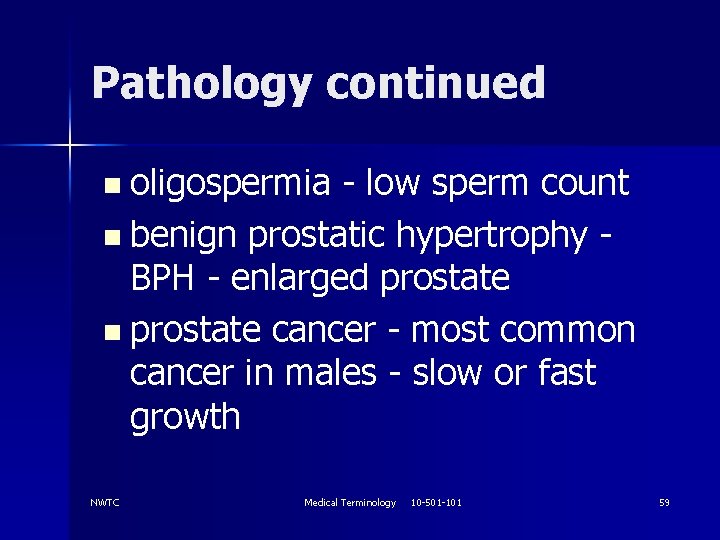 Pathology continued n oligospermia - low sperm count n benign prostatic hypertrophy BPH -