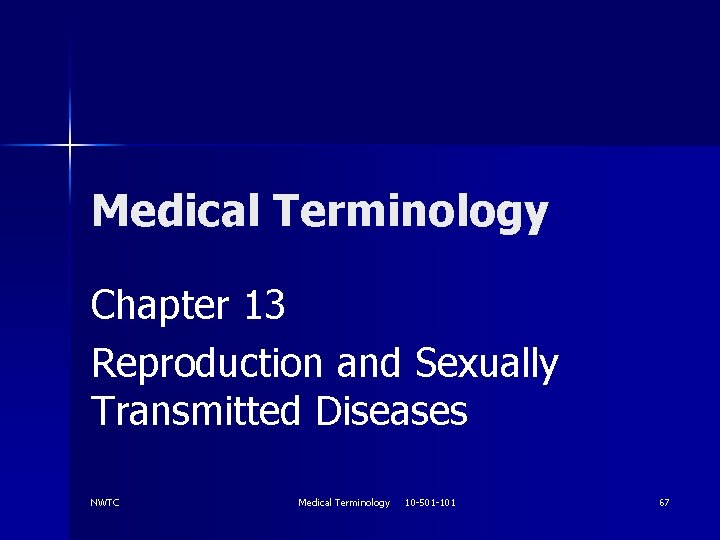 Medical Terminology Chapter 13 Reproduction and Sexually Transmitted Diseases NWTC Medical Terminology 10 -501