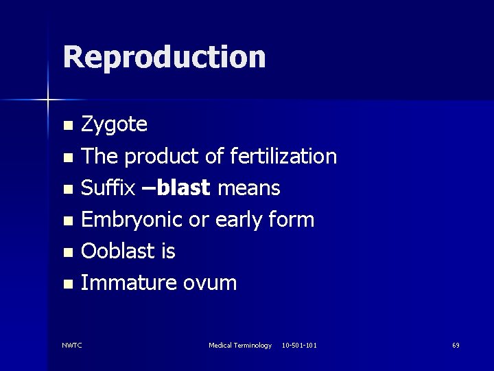 Reproduction Zygote n The product of fertilization n Suffix –blast means n Embryonic or