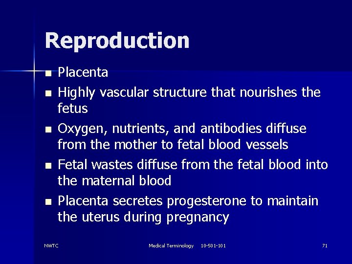 Reproduction n n Placenta Highly vascular structure that nourishes the fetus Oxygen, nutrients, and