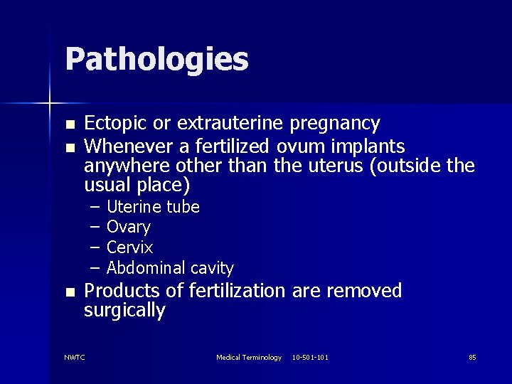 Pathologies n n Ectopic or extrauterine pregnancy Whenever a fertilized ovum implants anywhere other