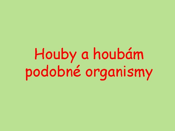 Houby a houbám podobné organismy 