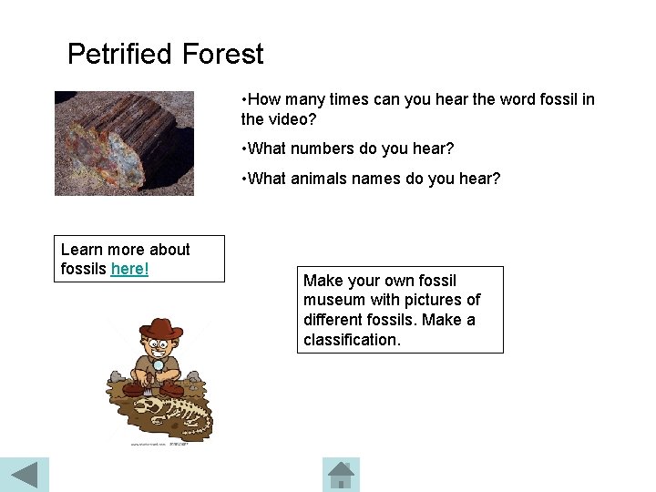 Petrified Forest • How many times can you hear the word fossil in the