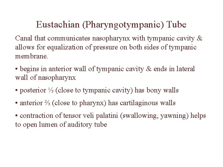 Eustachian (Pharyngotympanic) Tube Canal that communicates nasopharynx with tympanic cavity & allows for equalization