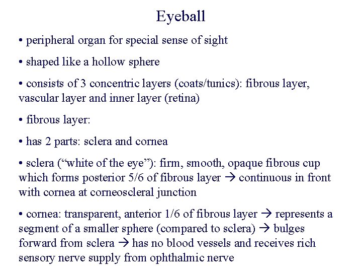 Eyeball • peripheral organ for special sense of sight • shaped like a hollow