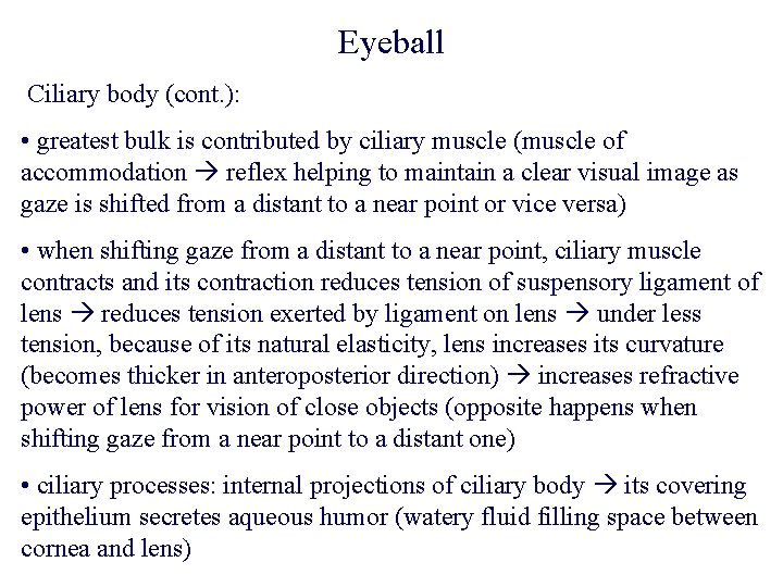 Eyeball Ciliary body (cont. ): • greatest bulk is contributed by ciliary muscle (muscle