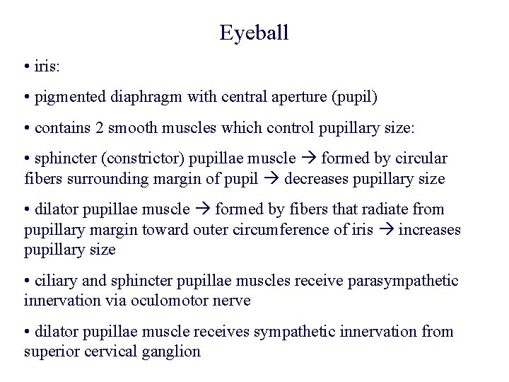 Eyeball • iris: • pigmented diaphragm with central aperture (pupil) • contains 2 smooth