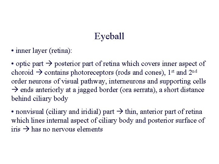 Eyeball • inner layer (retina): • optic part posterior part of retina which covers