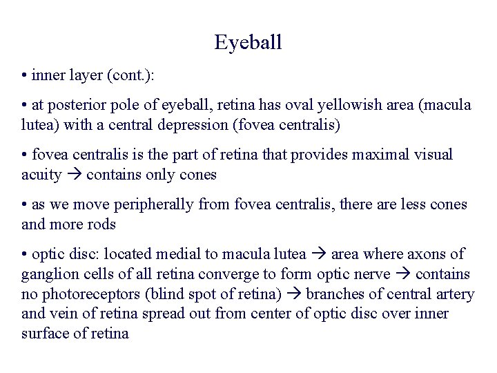 Eyeball • inner layer (cont. ): • at posterior pole of eyeball, retina has