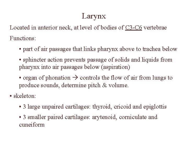 Larynx Located in anterior neck, at level of bodies of C 3 -C 6