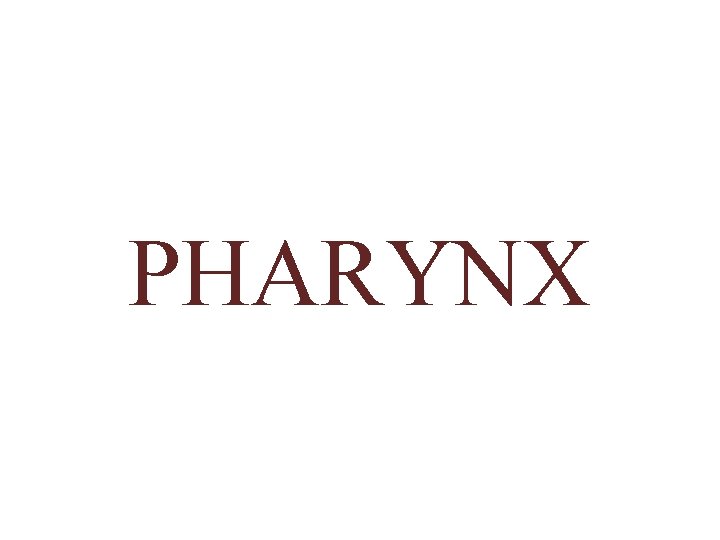 PHARYNX 
