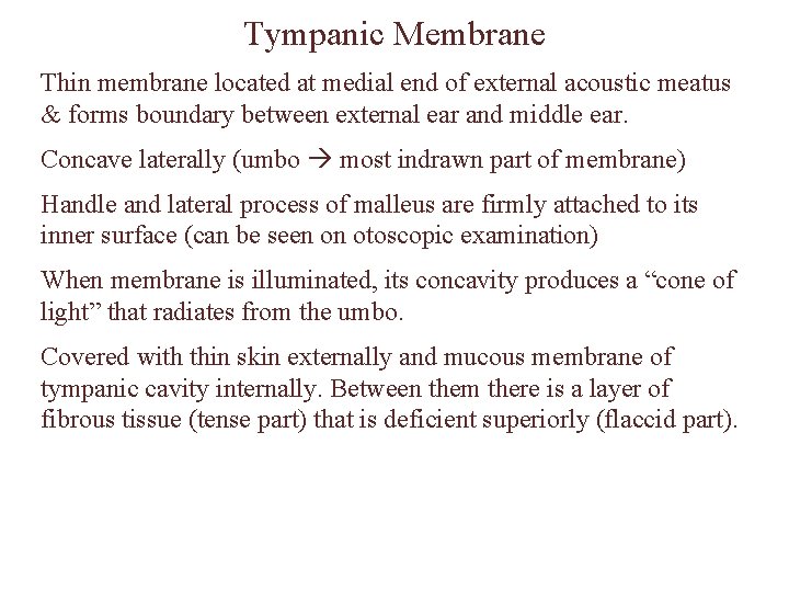 Tympanic Membrane Thin membrane located at medial end of external acoustic meatus & forms