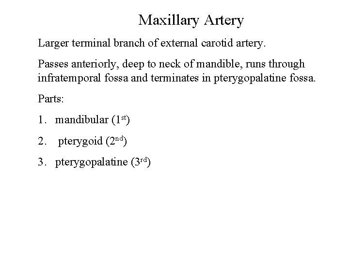 Maxillary Artery Larger terminal branch of external carotid artery. Passes anteriorly, deep to neck