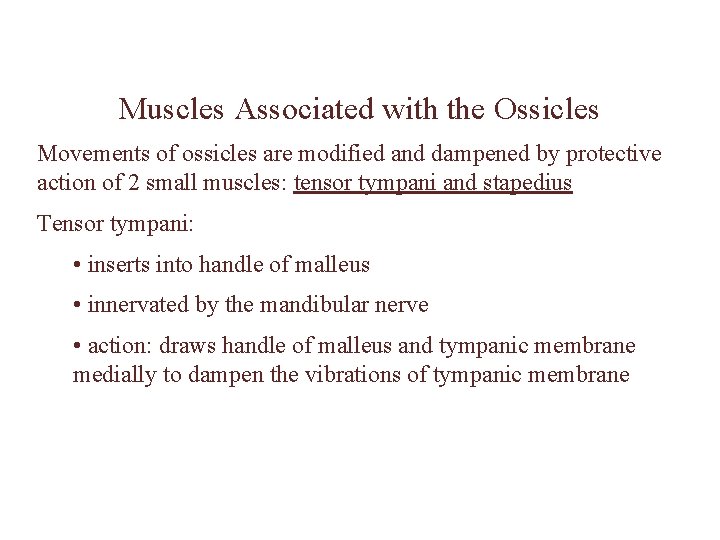 Muscles Associated with the Ossicles Movements of ossicles are modified and dampened by protective