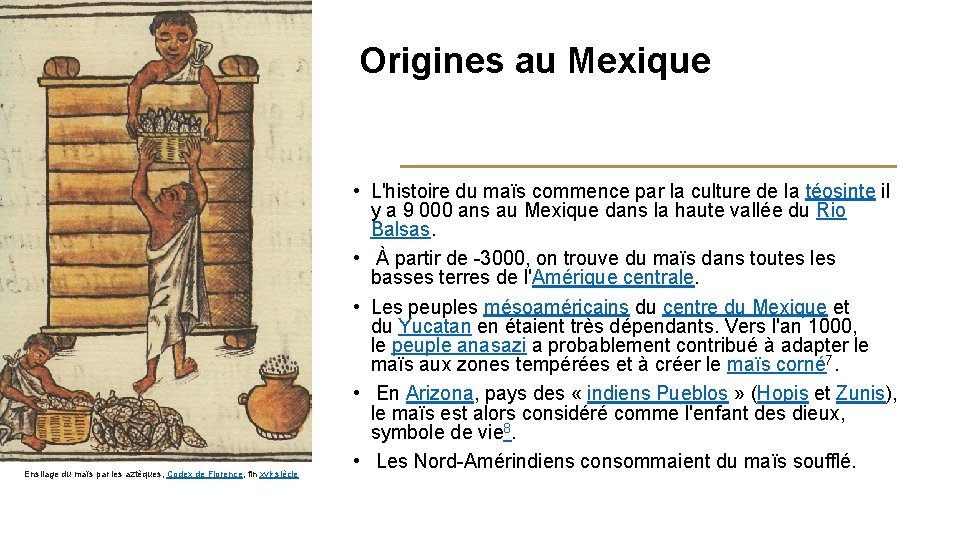 Origines au Mexique Ensilage du maïs par les aztèques, Codex de Florence, fin xvie