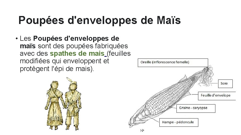 Poupées d'enveloppes de Maïs • Les Poupées d'enveloppes de maïs sont des poupées fabriquées
