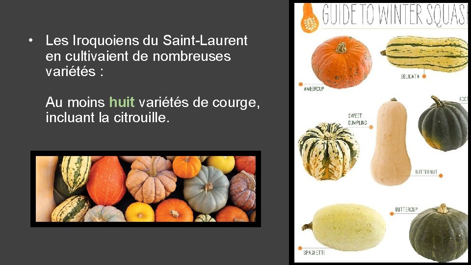  • Les Iroquoiens du Saint-Laurent en cultivaient de nombreuses variétés : Au moins