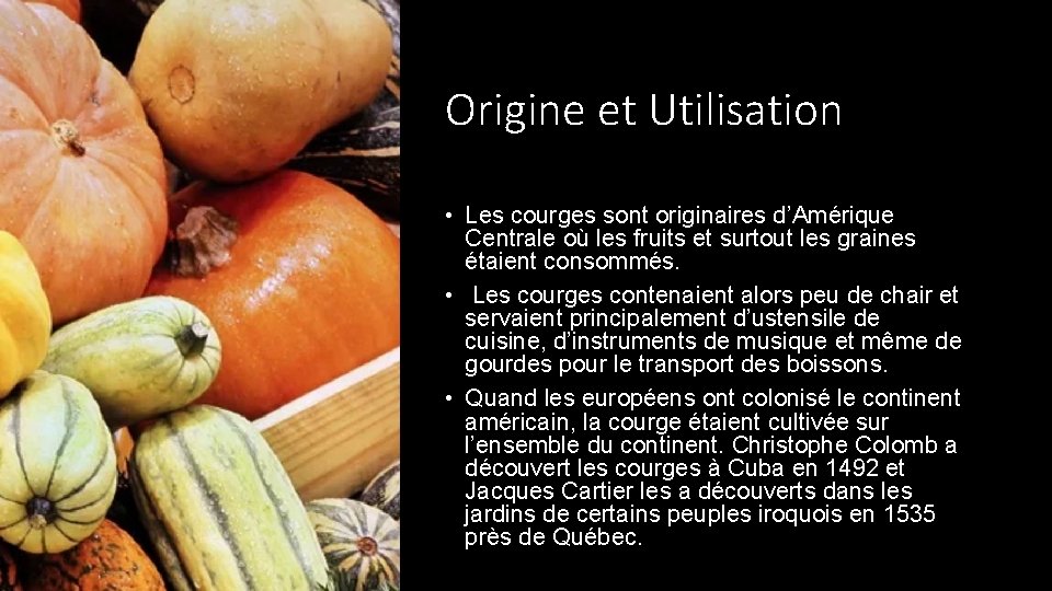 Origine et Utilisation • Les courges sont originaires d’Amérique Centrale où les fruits et