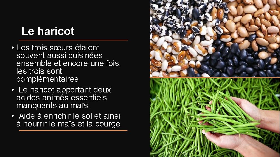 Le haricot • Les trois sœurs étaient souvent aussi cuisinées ensemble et encore une