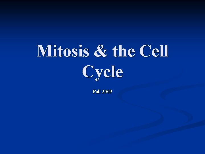Mitosis & the Cell Cycle Fall 2009 