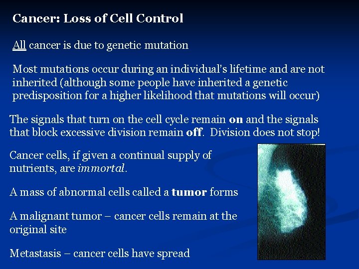 Cancer: Loss of Cell Control All cancer is due to genetic mutation Most mutations