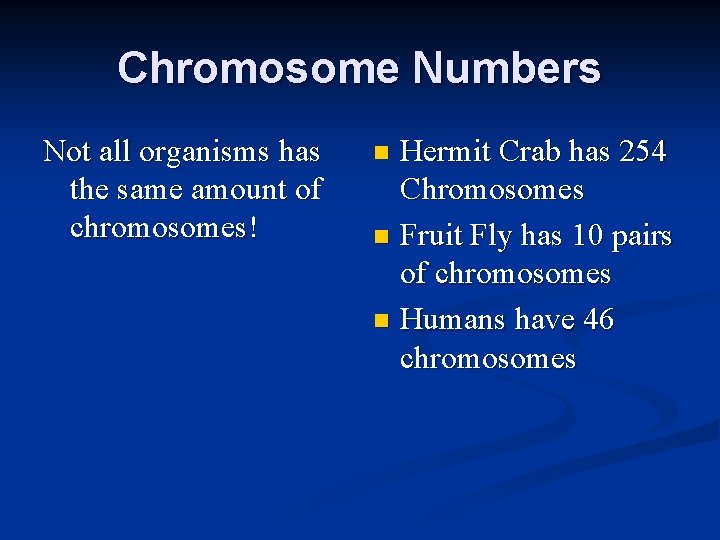 Chromosome Numbers Not all organisms has the same amount of chromosomes! Hermit Crab has