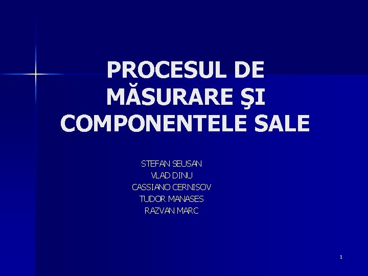 PROCESUL DE MĂSURARE ŞI COMPONENTELE SALE STEFAN SEUSAN VLAD DINU CASSIANO CERNISOV TUDOR MANASES