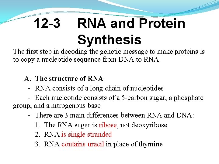 12 -3 RNA and Protein Synthesis The first step in decoding the genetic message 12 -3 RNA and Protein Synthesis The first step in decoding the genetic message